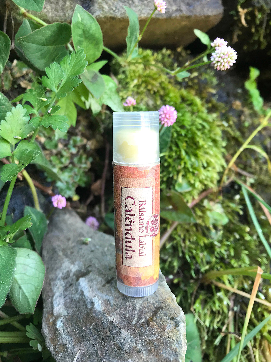 Bálsmo Labial Hidratante